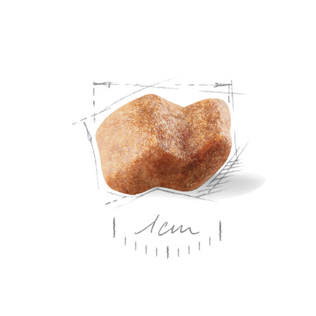 ROYAL CANIN Boxer Puppy 12kg