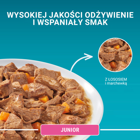 Purina One Junior Kitten Food with salmon and carrots 85g