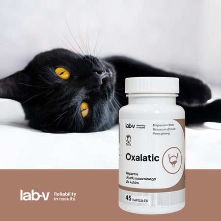 Lab-v Oxalatic – Support for cats with oxalate stone formation 45 capsules