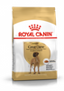 ROYAL CANIN Great Dane Adult 12kg