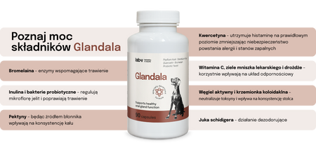 Lab-v Glandala - Supports the proper functioning of the anal glands and digestive tract in dogs 90 capsules