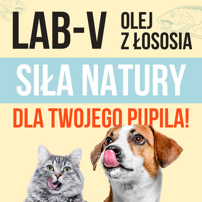 Lab-V 100% Salmon Oil for Dogs and Cats of All Ages 1000 ml Cold-pressed