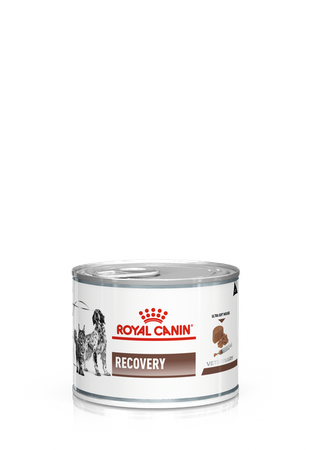 No pork ROYAL CANIN Recovery 6x195g