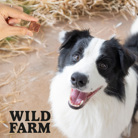 WILD FARM lamb and cod cubes soft 500g dog treats