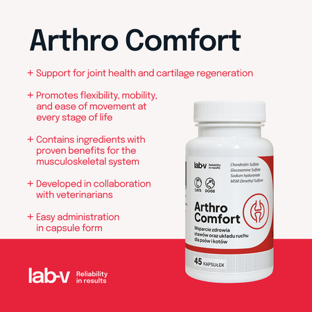 Lab-v Arthro Comfort – Comprehensive support for joint and musculoskeletal health in dogs and cats 45 capsules