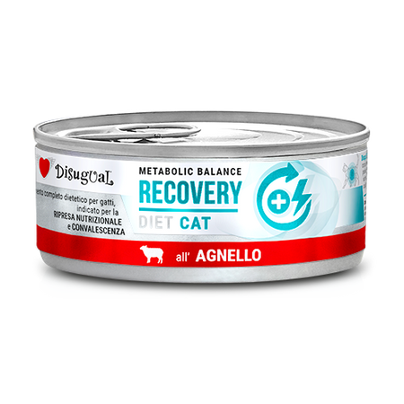 Disugual Wet Cat Food Veterinary RECOVERY Lamb (adult) 12x85g
