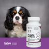 Lab-v Hepato Protect – Liver support for dogs and cats 2x45 capsules
