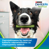 Purina Dentalife Activefresh Large 142g