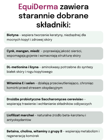 Lab-v EquiDerma Complementary feed mixture for horses and ponies to support the condition of skin, coat, and hooves 2000g