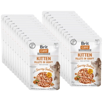 BRIT CARE Cat Kitten Fillets in Gravy with Savory Salmon Enriched with Sea Buckthorn and Nasturtium  24x85g