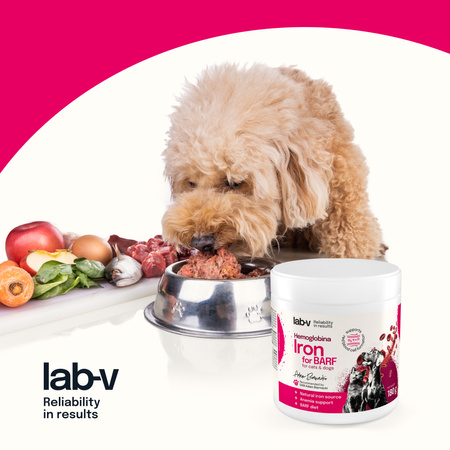 Lab-v Hemoglobin – natural heme iron for BARF mixes and homemade diets 180 g