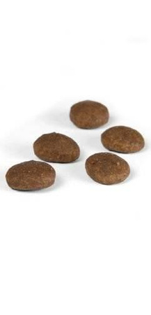 Josera Festival 900g