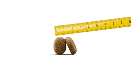 JOSERA Adult Optiness 12.5 kg