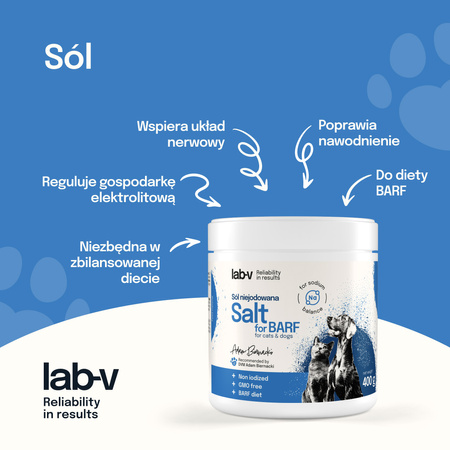 Lab-v Non-iodized salt – supports electrolyte balance and hydration 400 g