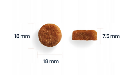 Marly & Dan Senior Dog Medium & Large Breed Fresh Salmon Holistic & Hypoallergenic 12kg dry food