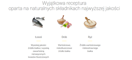 JOSERA Kitten 10+1kg