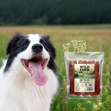 WILD FARM beef fillet 500g dog treats