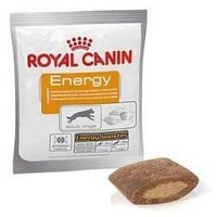 NO PORK ROYAL CANIN Nutritional Supplement Energy 50g