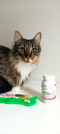Lab-v Arthro Comfort – Comprehensive support for joint and musculoskeletal health in dogs and cats 45 capsules