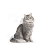 ROYAL CANIN Sensible 33 400g