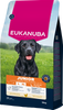 EUKANUBA Junior Large 15kg