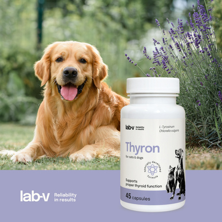 Lab-v Thyron – Support for proper thyroid function for dogs and cats 2x45 capsules