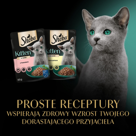 SHEBA Kitten flavour packet 40x85 g - complete wet food for kittens in sauce (cuts with: salmon, chicken)