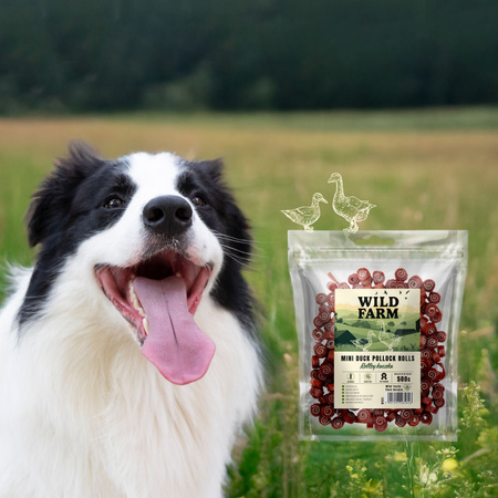 WILD FARM duck roll 500g dog treats