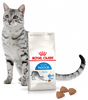 ROYAL CANIN Indoor 27 4kg dry food for indoor-only cats