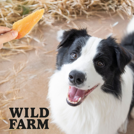 WILD FARM Soft chicken breast 500g dog treats