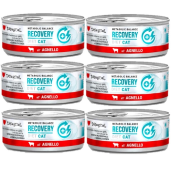 Disugual Wet Cat Food Veterinary RECOVERY Lamb (adult) 6x85g