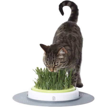 CATIT Grass Garden Set