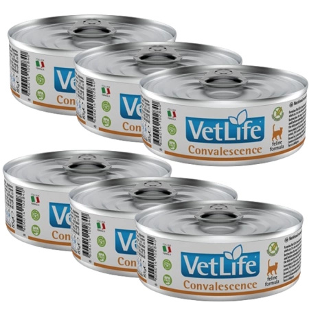 no pork Farmina Vet Life Feline Convalescence 6x85g