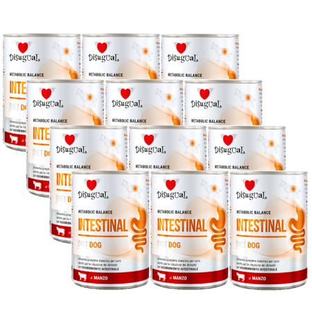 Disugual Wet dog food Veterinary INTESTINAL Beef (adult) 12x400g