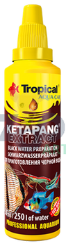 Tropical Ketapang Extract 30ml