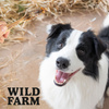 WILD FARM Dried lamb hooves 300g dog treat