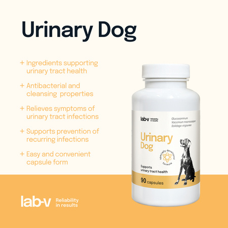 Lab-v Urinary Dog – Support for urinary tract infections in dogs 90 capsules