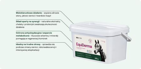 Lab-v EquiDerma Complementary feed mixture for horses and ponies to support the condition of skin, coat, and hooves 2000g