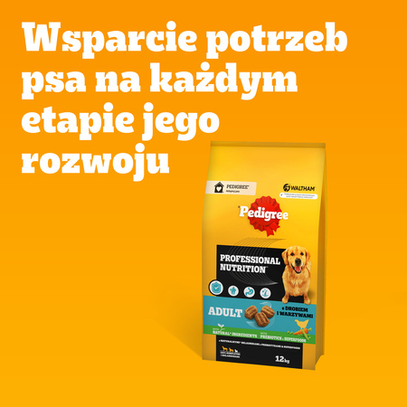 PEDIGREE® Adult Professional Nutrition 12kg with poultry and vegetables - complete dry food for adult dogs of large and medium breeds