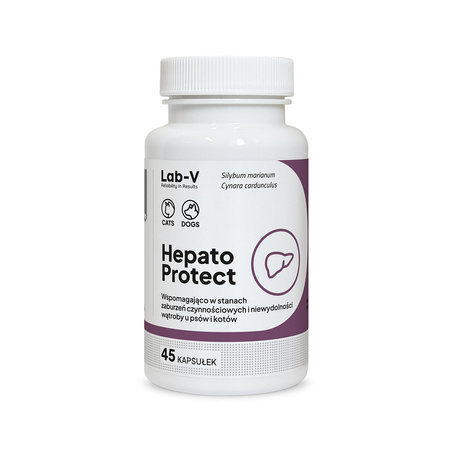 Lab-v Hepato Protect – Liver support for dogs and cats 45 capsules
