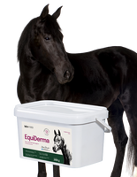 Lab-v EquiDerma Complementary feed mixture for horses and ponies to support the condition of skin, coat, and hooves 2000g