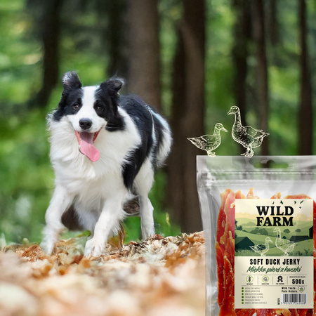 WILD FARM soft duck breast 500g dog treats