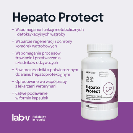 Lab-v Hepato Protect – Liver support for dogs and cats 90 capsules