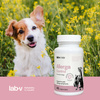 Lab-v Allerga Control – Support for allergy symptoms 45 capsules