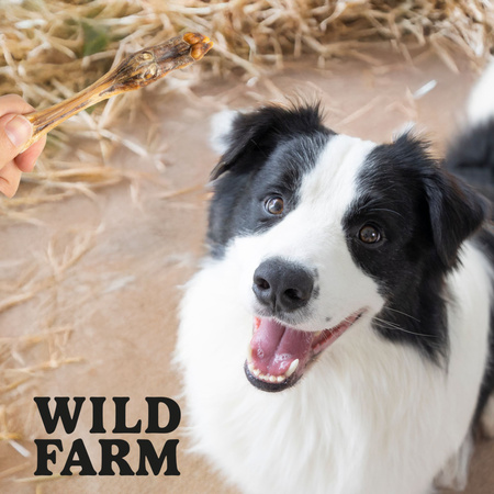 WILD FARM Dried lamb hooves 2x300g dog treat