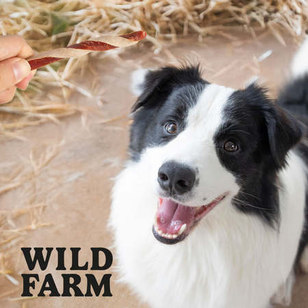 WILD FARM Sandwich with lamb and cod 500g dog treats