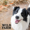 WILD FARM chicken and cod sandwich 500g dog treats