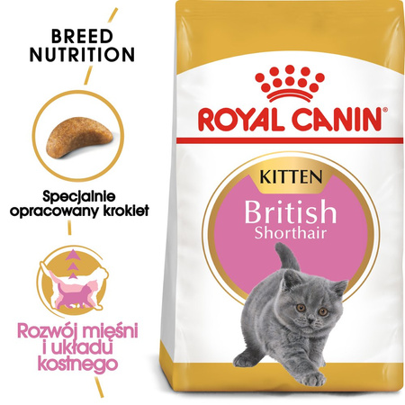 ROYAL CANIN British Shorthair Kitten 2kg dry food for kittens, up to 12 months, British Shorthair breed
