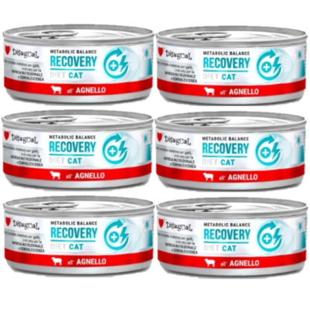 Disugual Wet Cat Food Veterinary RECOVERY Lamb (adult) 6x85g