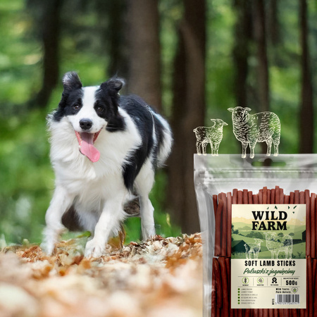 WILD FARM lamb sticks 500g dog treats